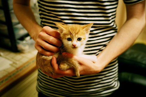 教科书级救赎！马克西在生死夜撕碎控卫桎梏，大心脏投射重写比赛结局